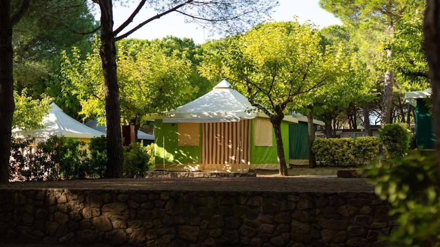 Internacional Camping